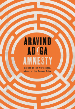 book cover for Amnesty