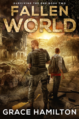 book cover for Fallen World