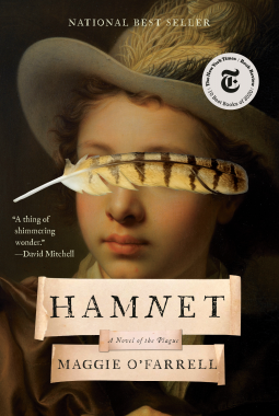 book cover for Hamnet