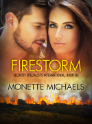 book cover for Firestorm