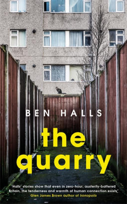 book cover for The Quarry