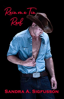 book cover for Rain on a Tin Roof