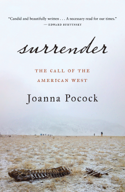 book cover for Surrender