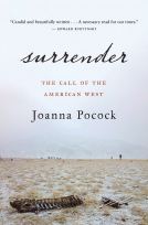 book cover for Surrender