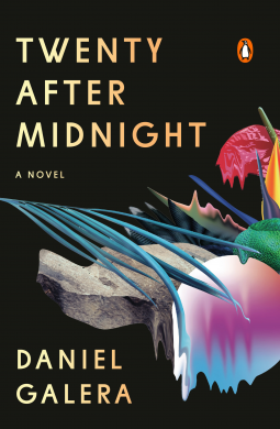 book cover for Twenty After Midnight