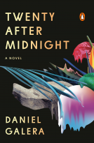 book cover for Twenty After Midnight