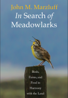 book cover for In Search of Meadowlarks