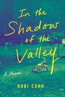 book cover for In the Shadow of the Valley