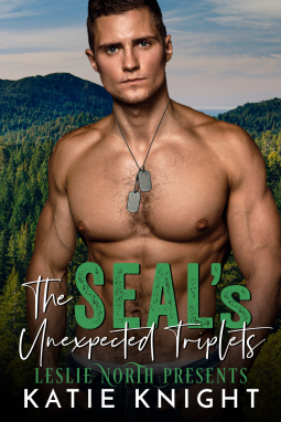 book cover for The SEAL's Unexpected Triplets