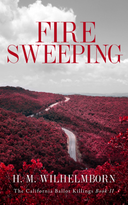 book cover for Fire Sweeping