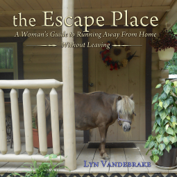 book cover for the Escape Place