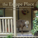 book cover for the Escape Place