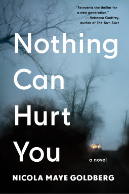 book cover for Nothing Can Hurt You