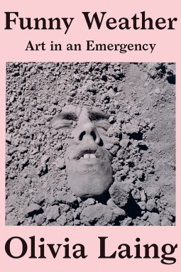 book cover for Funny Weather