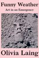 book cover for Funny Weather