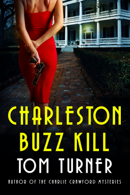 book cover for Charleston Buzz Kill