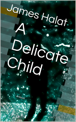book cover for A Delicate Child