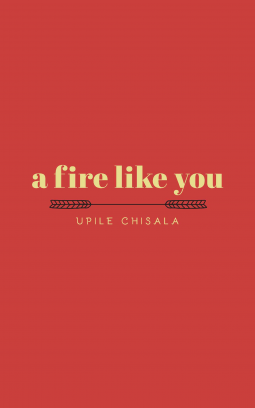 book cover for a fire like you