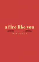 book cover for a fire like you