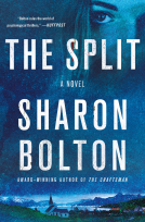 book cover for The Split