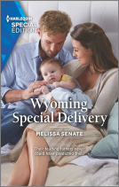 book cover for Wyoming Special Delivery