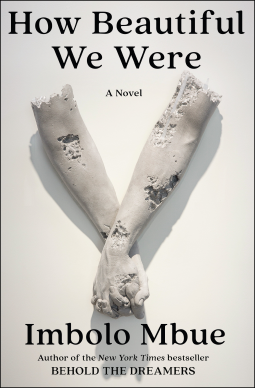 book cover for How Beautiful We Were