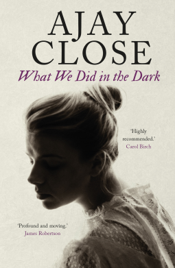 book cover for What We Did in the Dark