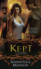 book cover for Kept