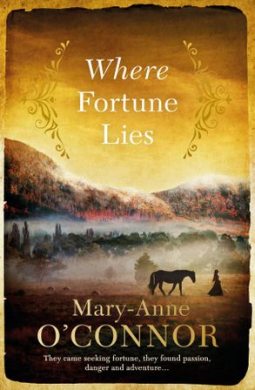 book cover for Where Fortune Lies