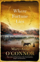 book cover for Where Fortune Lies