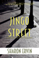 book cover for Jingo Street