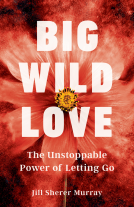 book cover for Big Wild Love