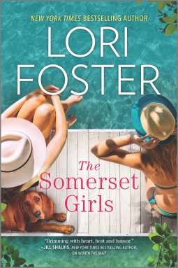book cover for The Somerset Girls