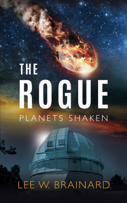 book cover for The Rogue
