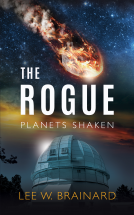 book cover for The Rogue