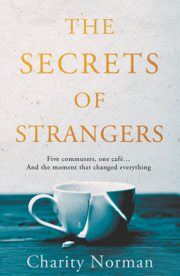 book cover for The Secrets of Strangers
