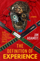 book cover for The Definition of Experience