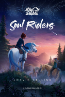 book cover for Soul Riders