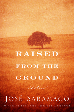 book cover for Raised from the Ground