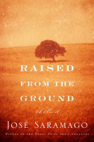 book cover for Raised from the Ground