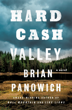 book cover for Hard Cash Valley