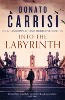 book cover for Into the Labyrinth