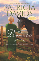 book cover for The Promise