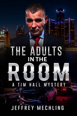 book cover for The Adults in the Room