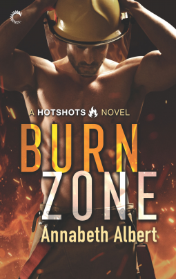 book cover for Burn Zone