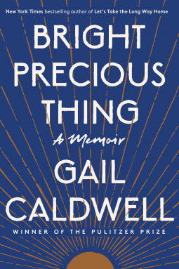 book cover for Bright Precious Thing