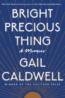 book cover for Bright Precious Thing
