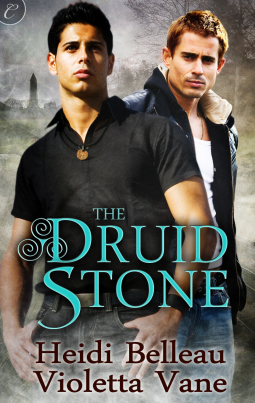book cover for The Druid Stone