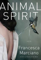 book cover for Animal Spirit