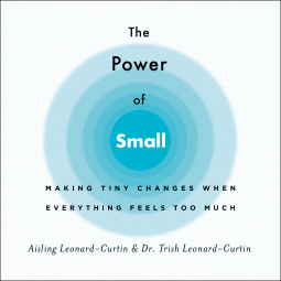 book cover for The Power of Small